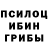 Псилоцибиновые грибы Cubensis Angelo Pebida