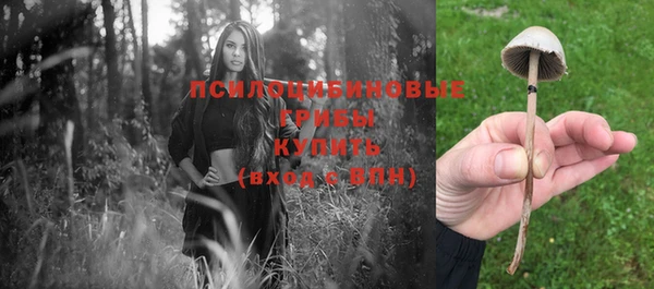прущая мука Абинск