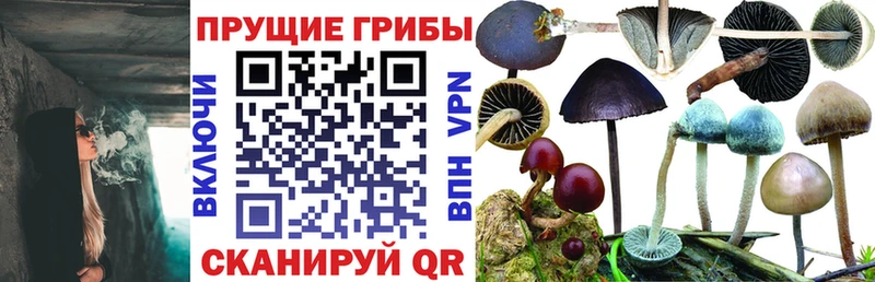 Псилоцибиновые грибы MAGIC MUSHROOMS  Ачхой-Мартан 